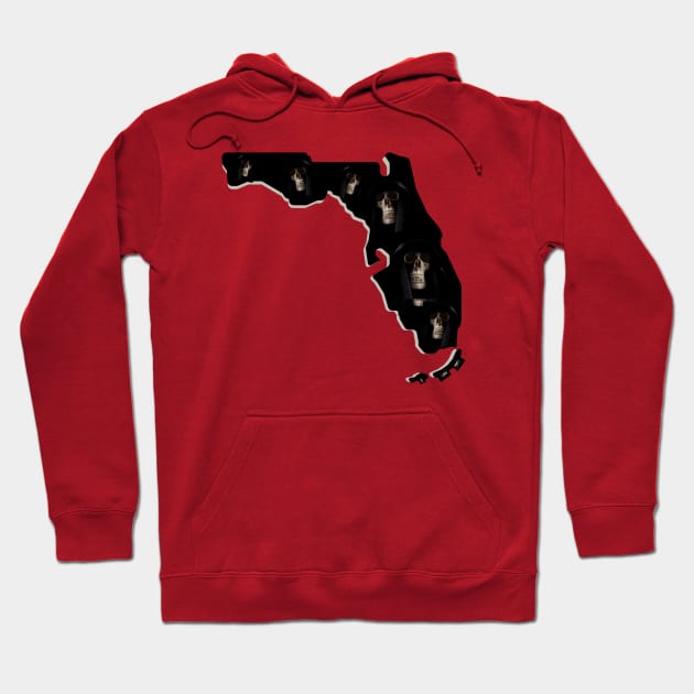 Florida The Reaper State Hoodie by TJWDraws